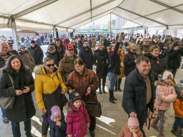 Kukkónia MALACságok összefoglaló