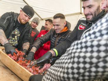 Kukkónia MALACságok összefoglaló