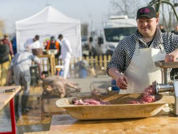 Kukkónia MALACságok összefoglaló