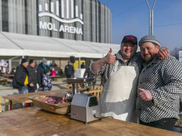 Kukkónia MALACságok összefoglaló